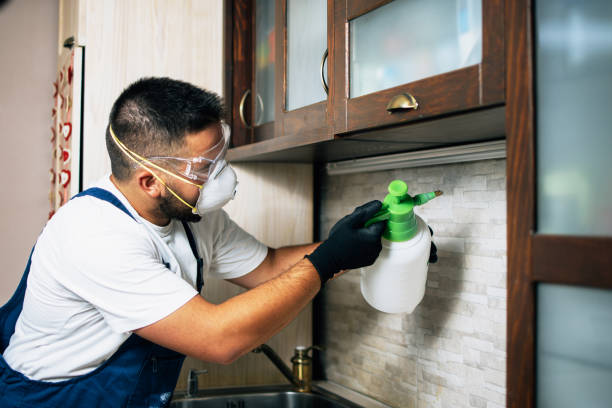 Best Mosquito Control Services  in Sioux Falls, SD