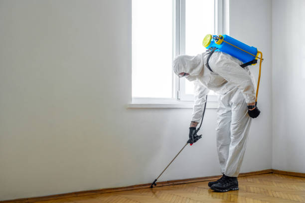 Best Flea Control Services  in Sioux Falls, SD