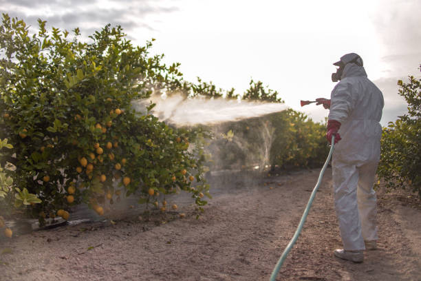 Best Commercial Pest Control Services  in Sioux Falls, SD