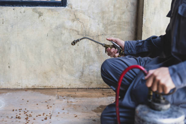 Best Mosquito Control Services  in Sioux Falls, SD